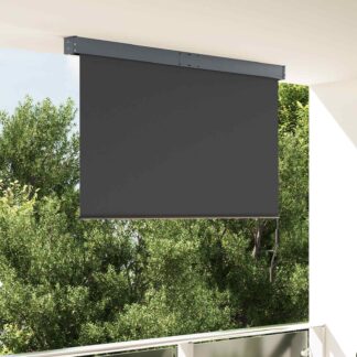 vidaXL Στόρι Σκίασης Ρόλερ Εξωτερικού Χώρου Ανθρακί 160 x 250 εκ.