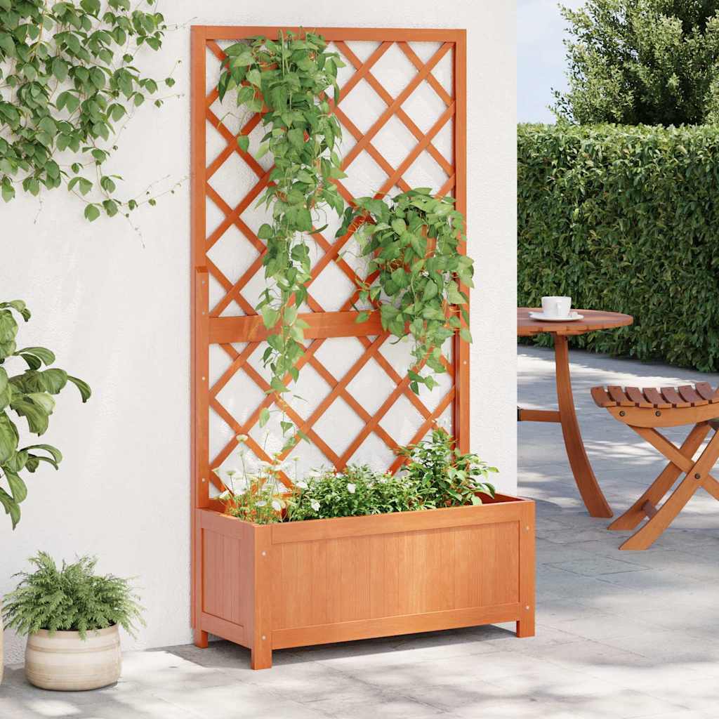 vidaXL Γλάστρα με Πλέγμα Καφέ 70x30x135 εκ. από Μασίφ Ξύλο Ελάτης