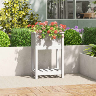 vidaXL Ζαρντινιέρα με Ράφι Λευκή 54 x 34,5 x 81 εκ. Μασίφ Ξύλο Πεύκου