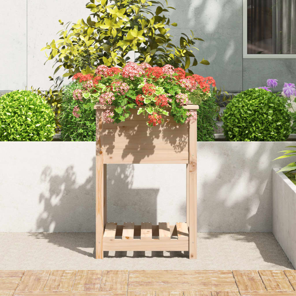 vidaXL Ζαρντινιέρα με Ράφι 54 x 54 x 81 εκ. Μασίφ Ξύλο Πεύκου - Image 3
