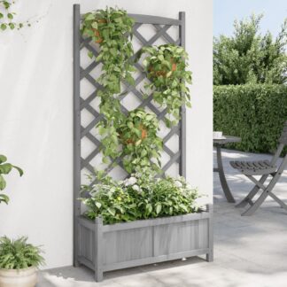 vidaXL Γλάστρα με Πλέγμα Γκρι 75x35x150 εκ. από Μασίφ Ξύλο Ελάτης