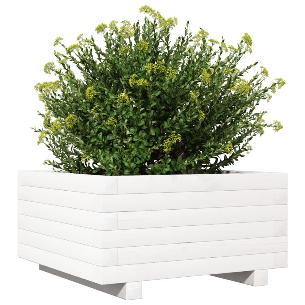 vidaXL Ζαρντινιέρα Κήπου Λευκή 50x50x26,5 εκ. από Μασίφ Ξύλο Πεύκου - Image 4