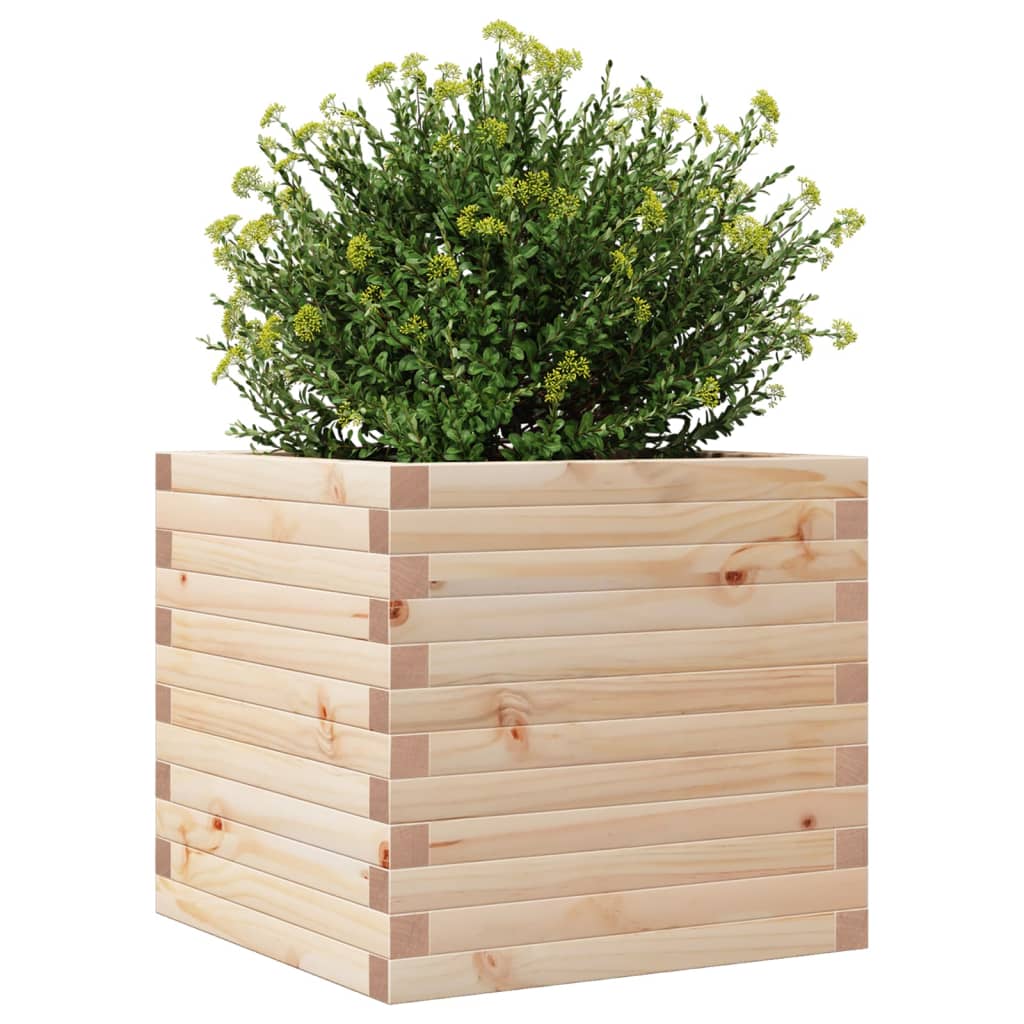 vidaXL Ζαρντινιέρα 50x50x46 εκ. από Μασίφ Ξύλο Πεύκου - Image 4