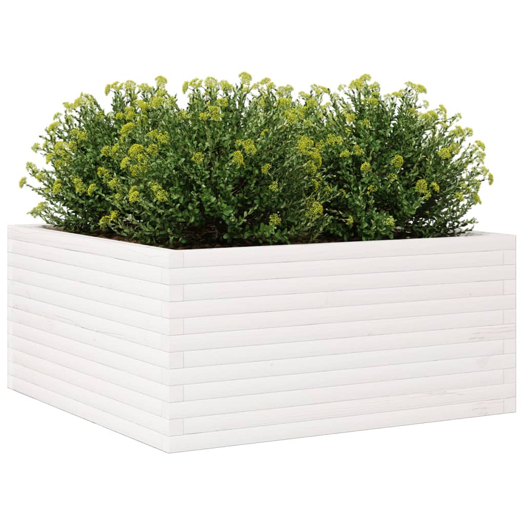 vidaXL Ζαρντινιέρα Κήπου Λευκή 100x100x46 εκ. από Μασίφ Ξύλο Πεύκου - Image 4