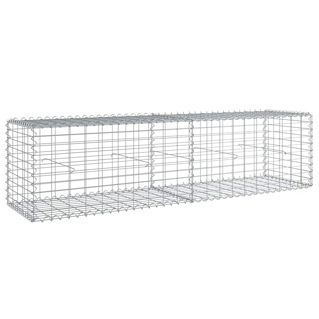 vidaXL Συρματοκιβώτιο με Κάλυμμα 200x50x50 εκ. από Γαλβανισμένο Χάλυβα - Image 2