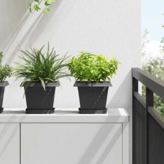 vidaXL Τετράγωνη Γλάστρα για Λουλούδια 6 τμχ. Μαύρο 20 x 20 x 16 εκ
