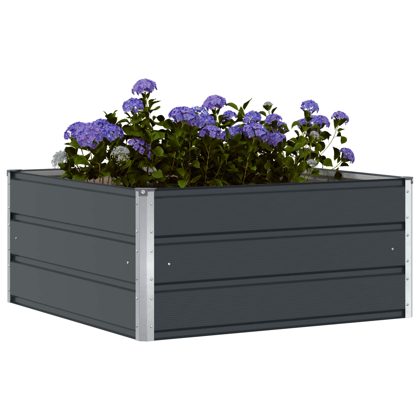 vidaXL Γλάστρα Ανθρακί 100 x 100 x 45 cm Ατσάλι - Image 3