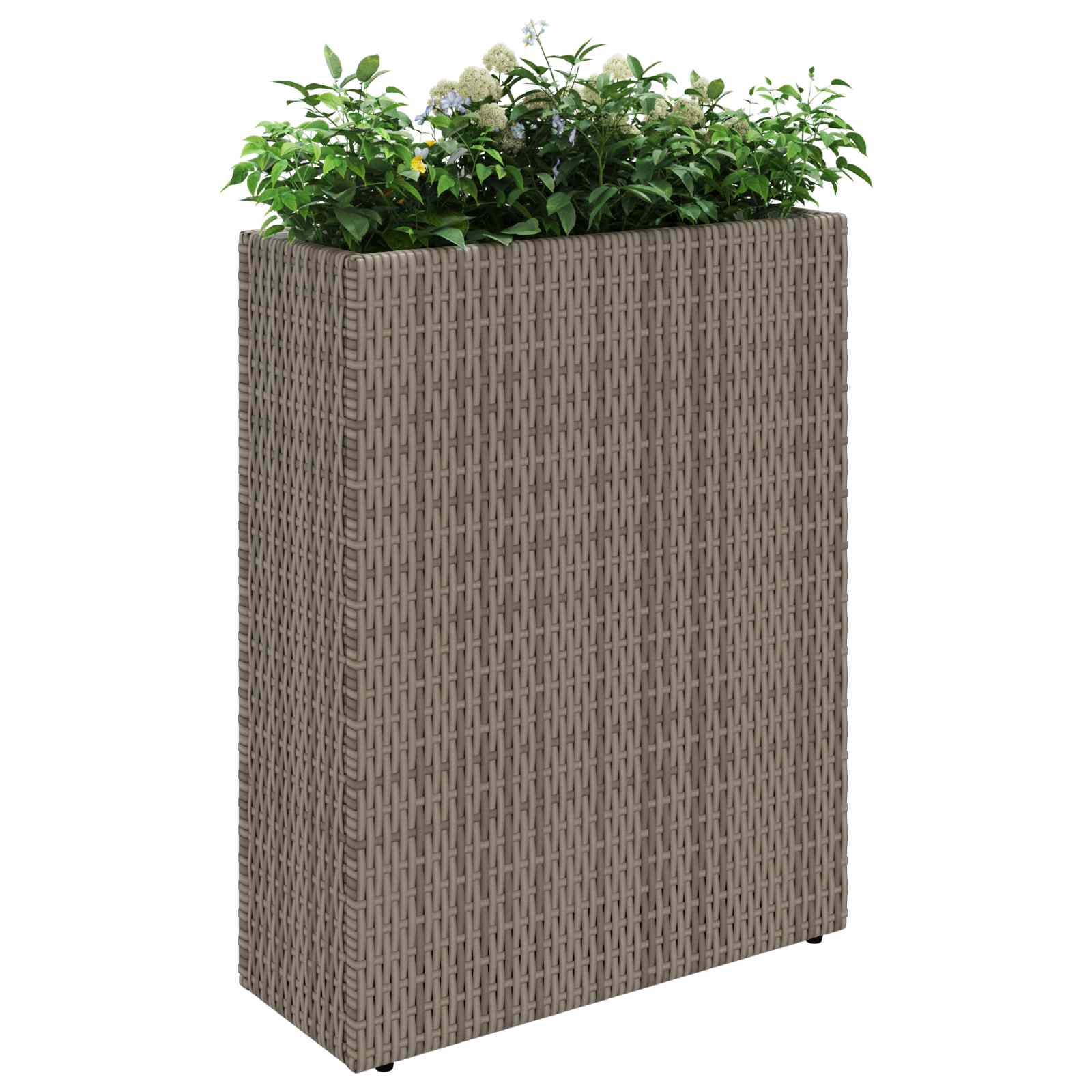 vidaXL Ψηλός γλάστρα 55 x 22 x 70 εκ Ναι - Image 3