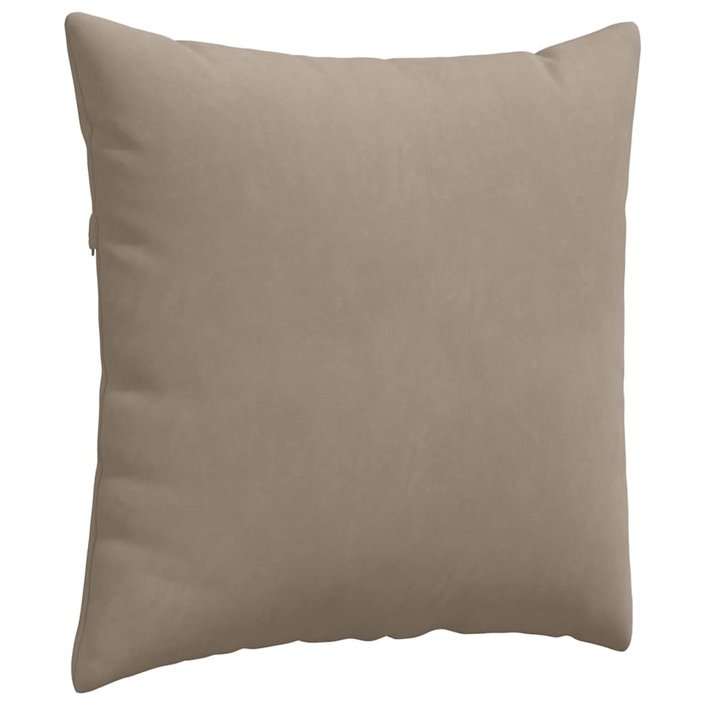 vidaXL Μαξιλάρι Καναπέ 2 τμχ. ύφασμα Taupe 60 x 60 cm - Image 5